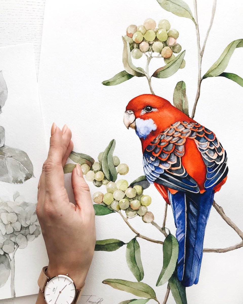 Гибискус и Колибри