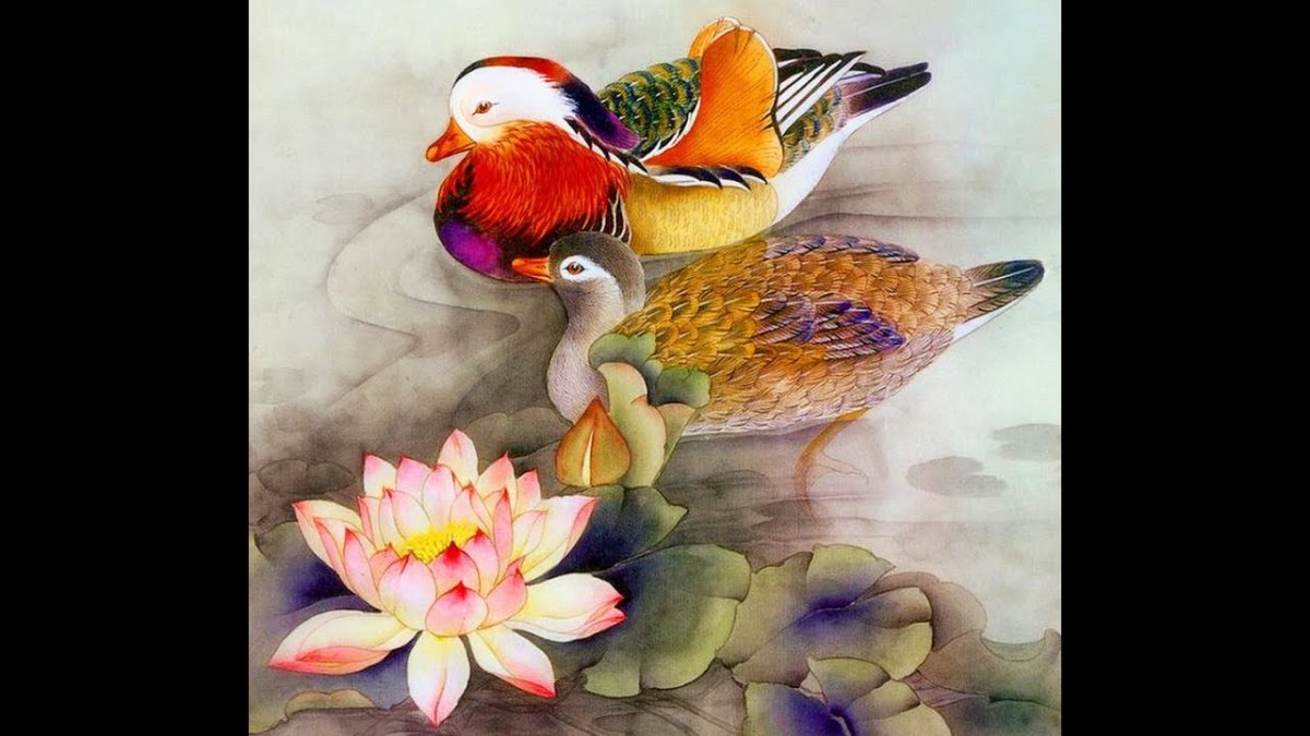 Птицы и цветы обои на телефон