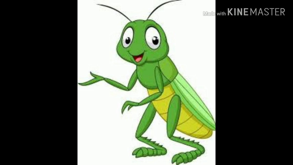 Зеленое летающее насекомое похожее на кузнечика