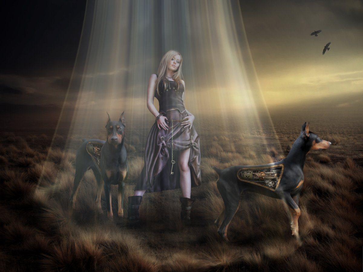 Фэнтези собака Доберман