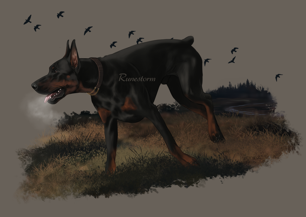 Доберман арт