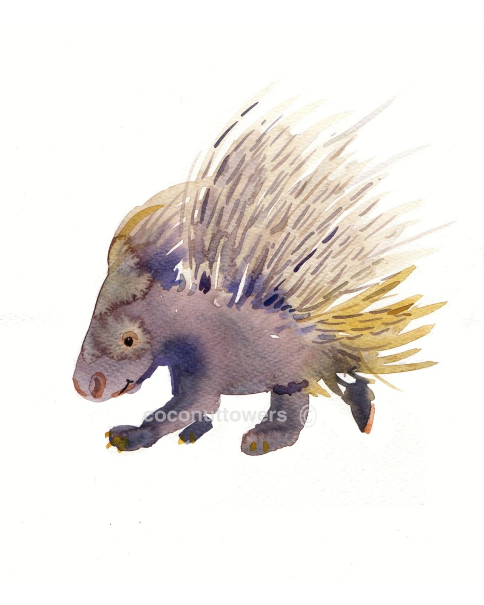 Пимпла-древесный Дикобраз