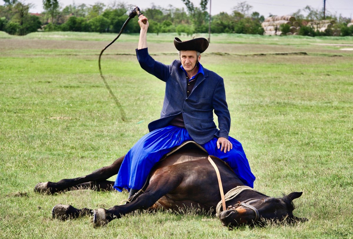 Фирма лошадь с человеком