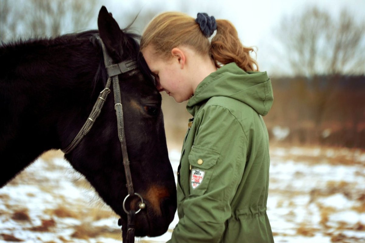 Общение с лошадьми