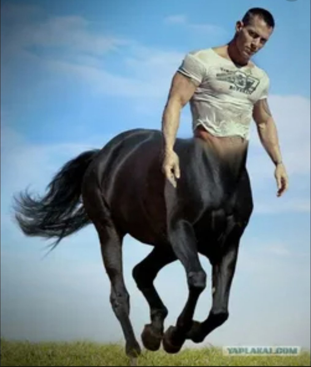 Человек конь