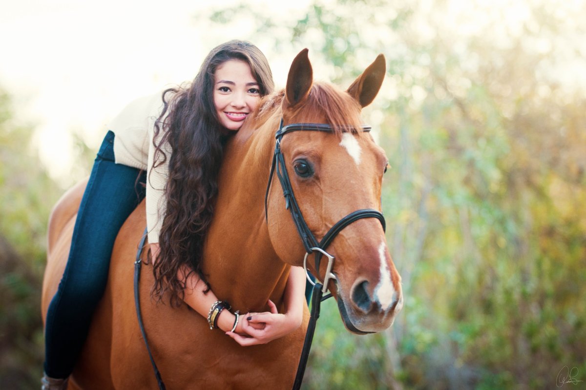 Лошадки и люди