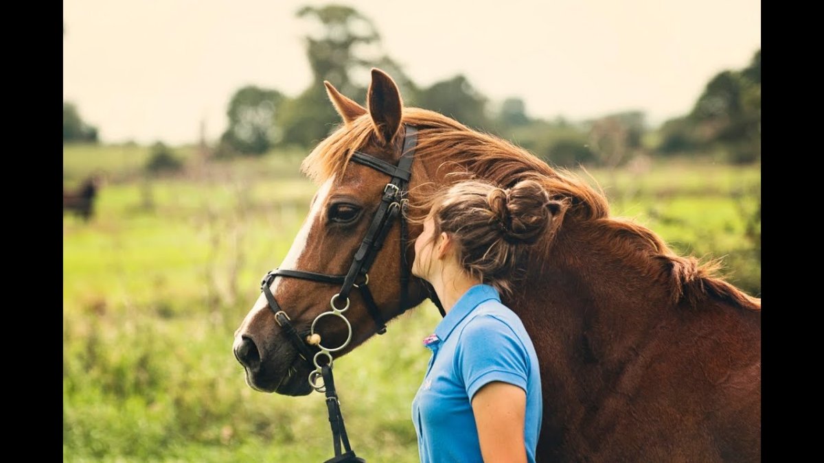 Русая девушка и лошадь