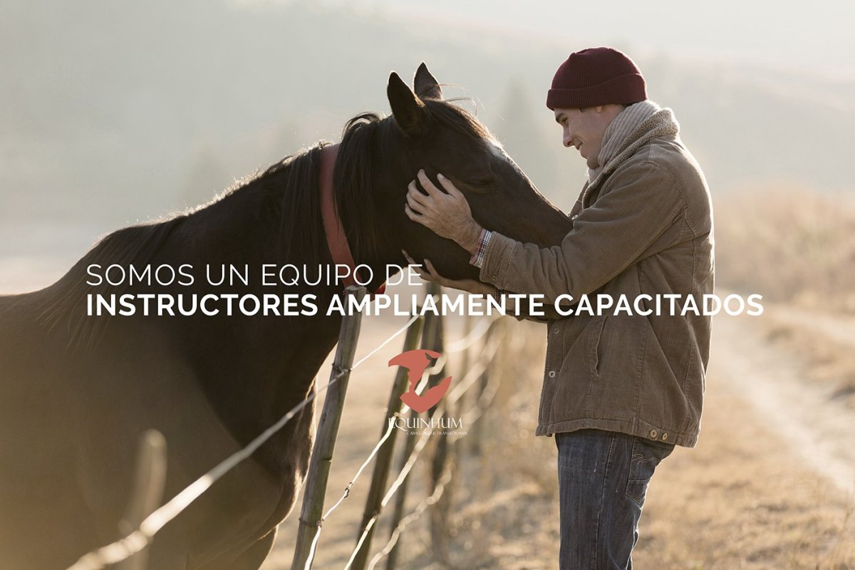 Мужчина обнимает коня