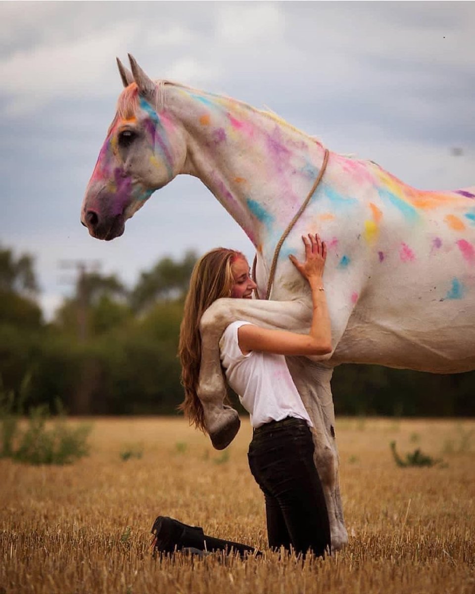 Креативные фотосессии с лошадью