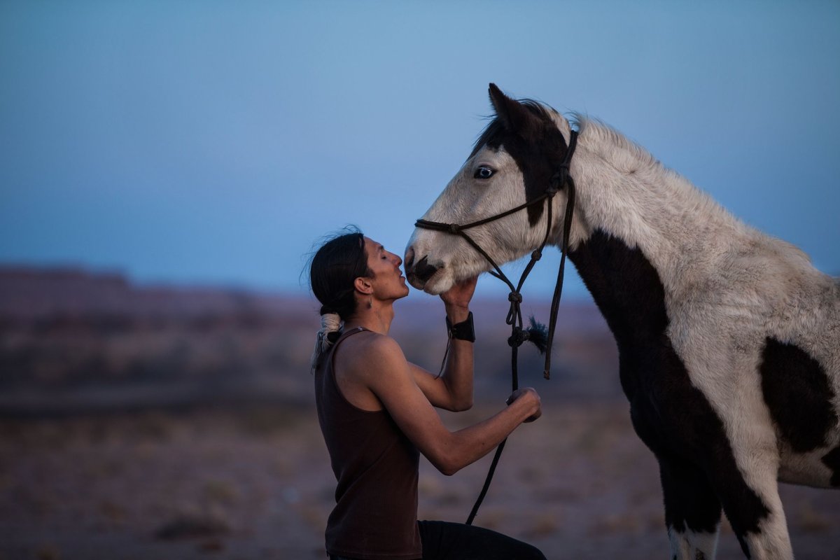 Навахо лошадь