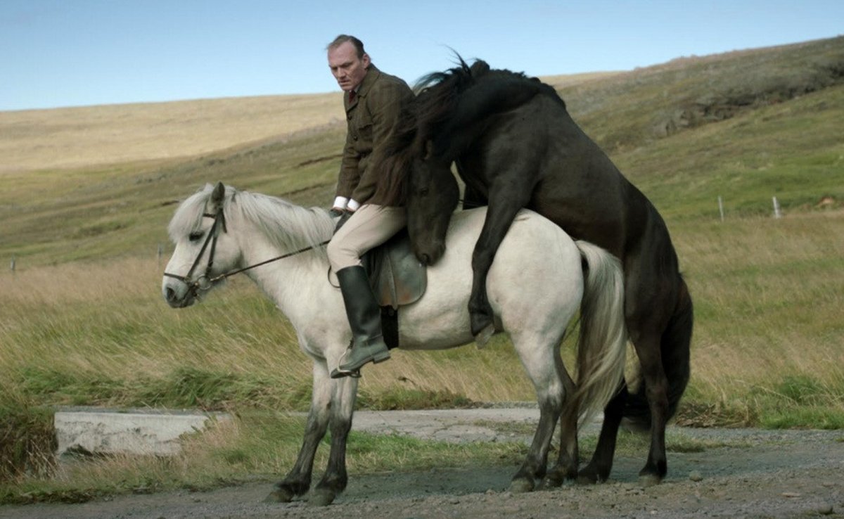 О лошадях и людях фильм 2013