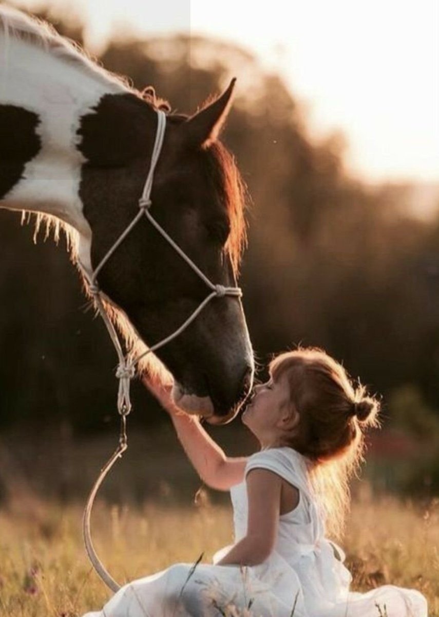 Лошадки для девочек