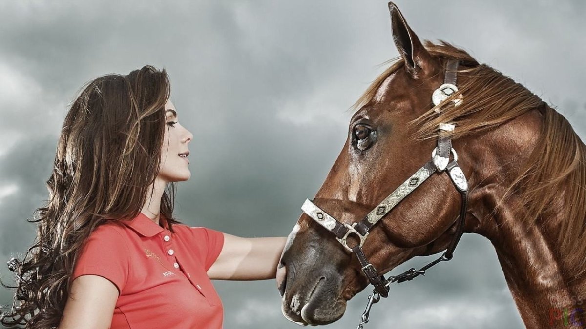 Девушка с лошадью