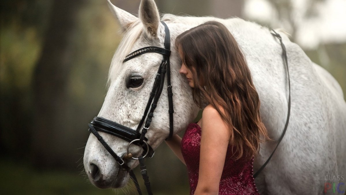 Лошадки для девочек