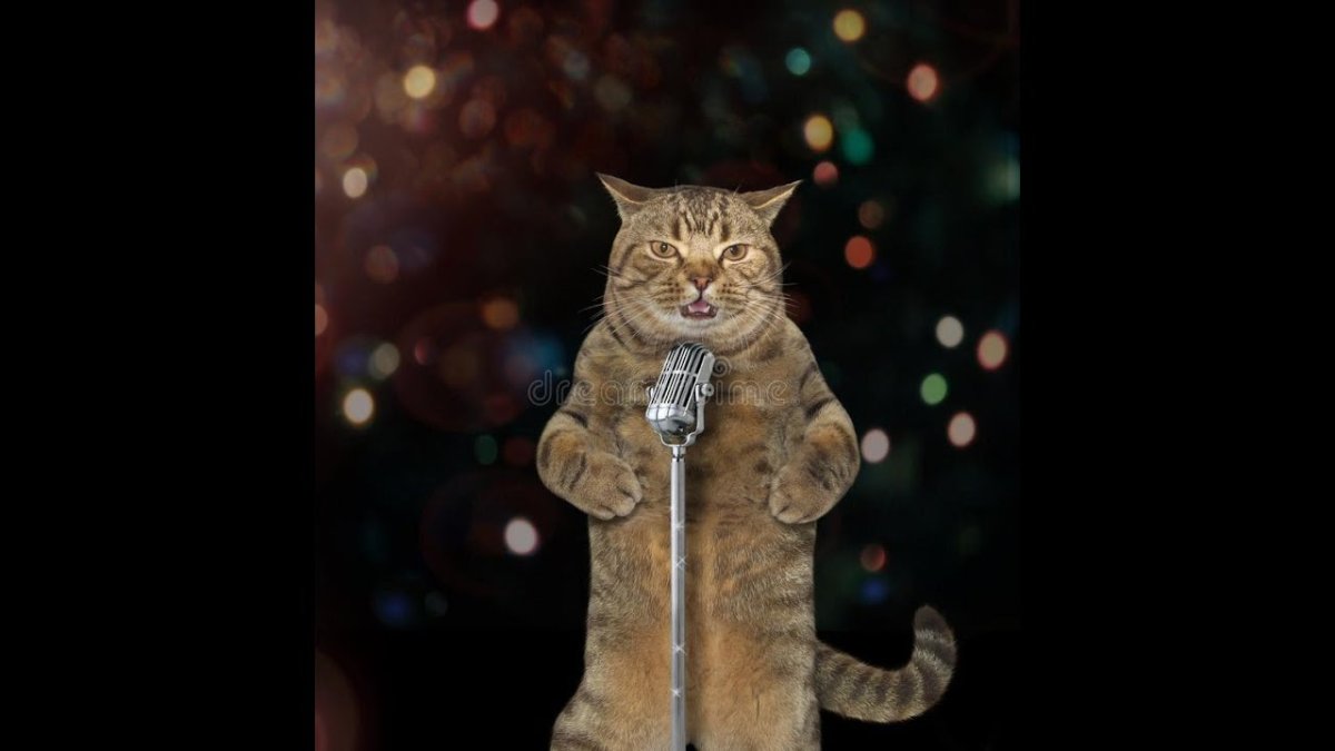 Кошка с микрофоном