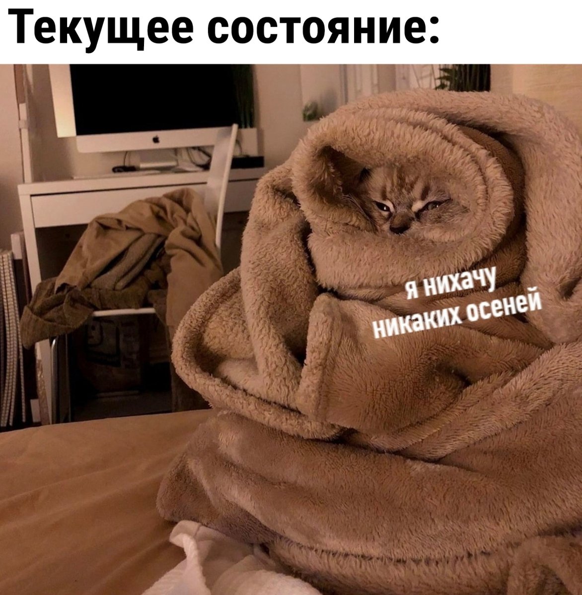 Громадск рулит