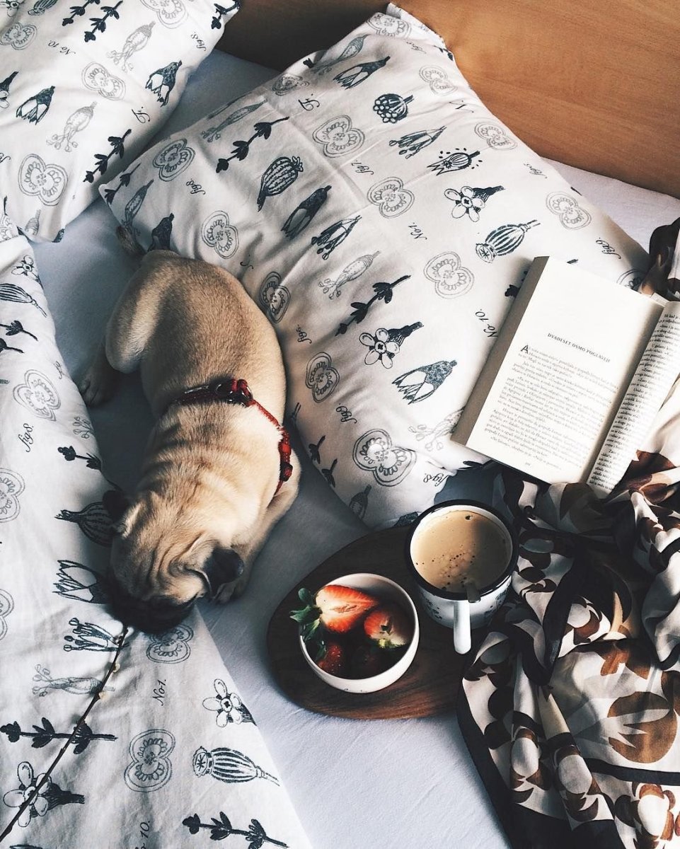 Настроение спрятаться под одеяло