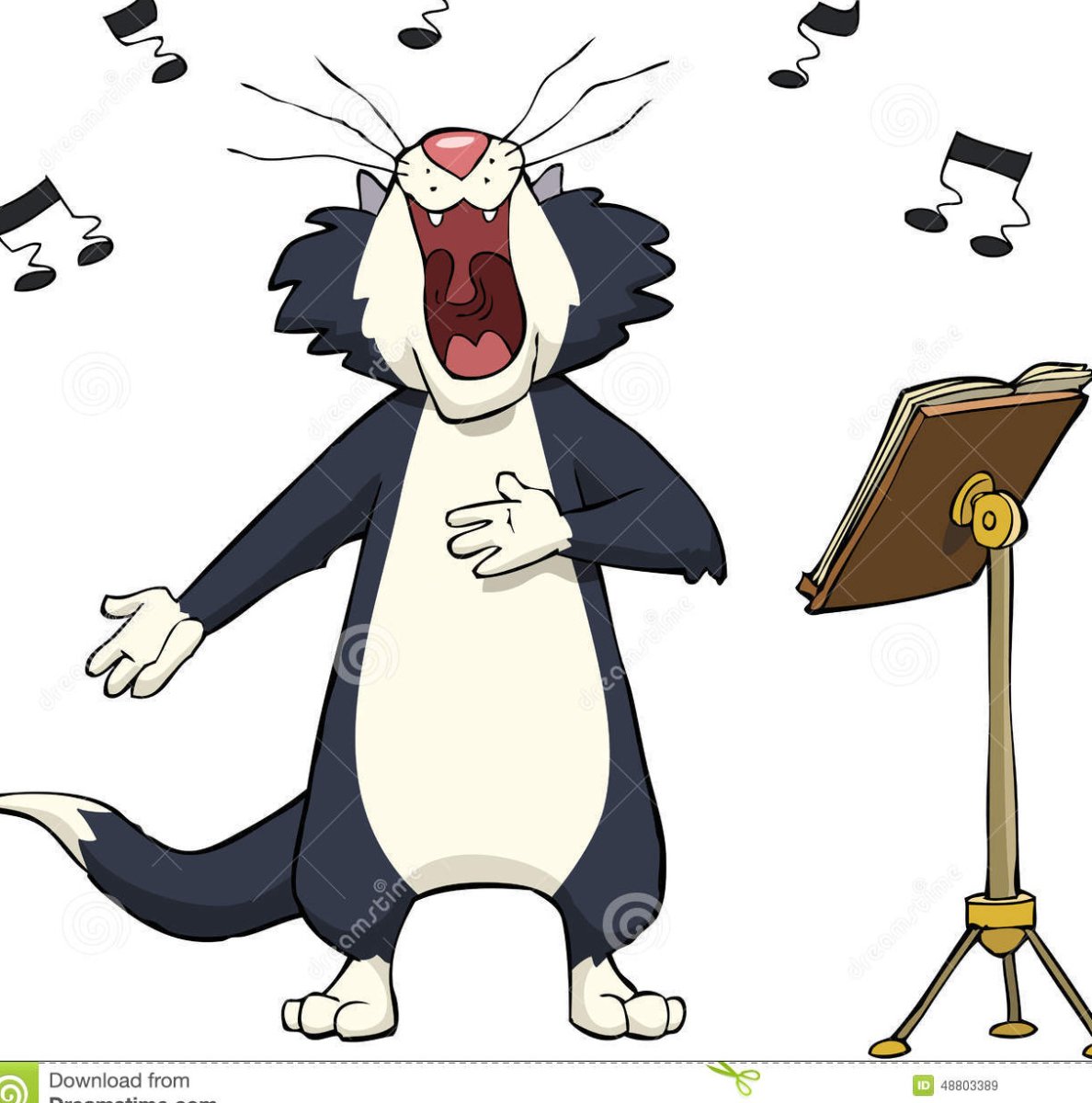 Котик музыкант