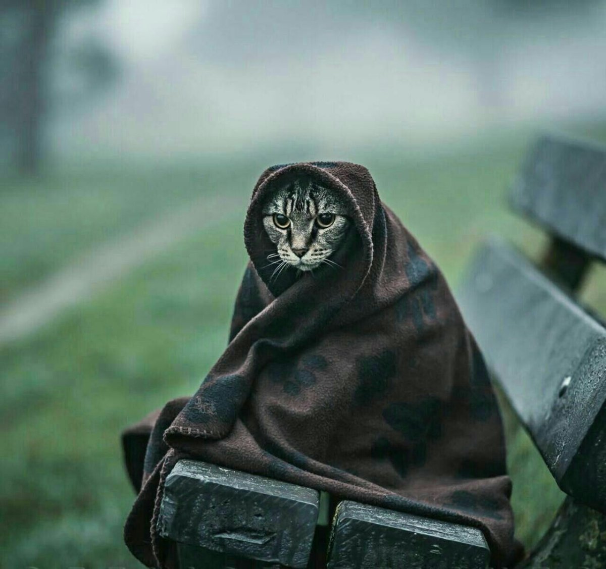 Греться в кроватке