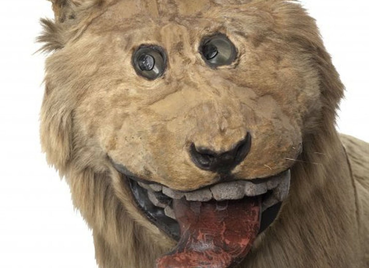 Чучело Льва короля Швеции