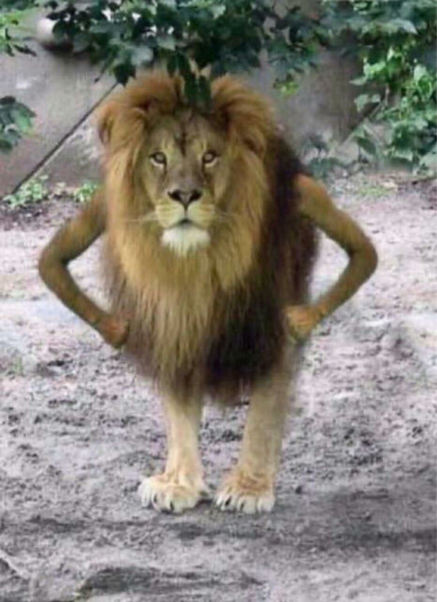 Черный Лев настоящий