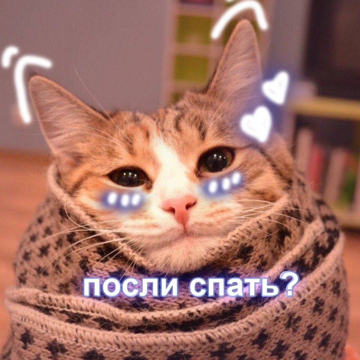 Пикчи с котиками