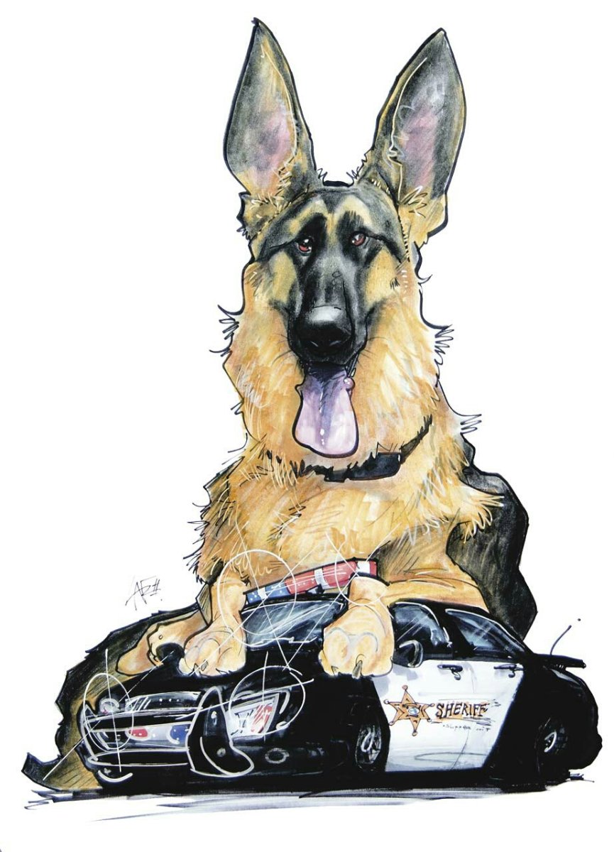 Восточно-европейская овчарка сзади