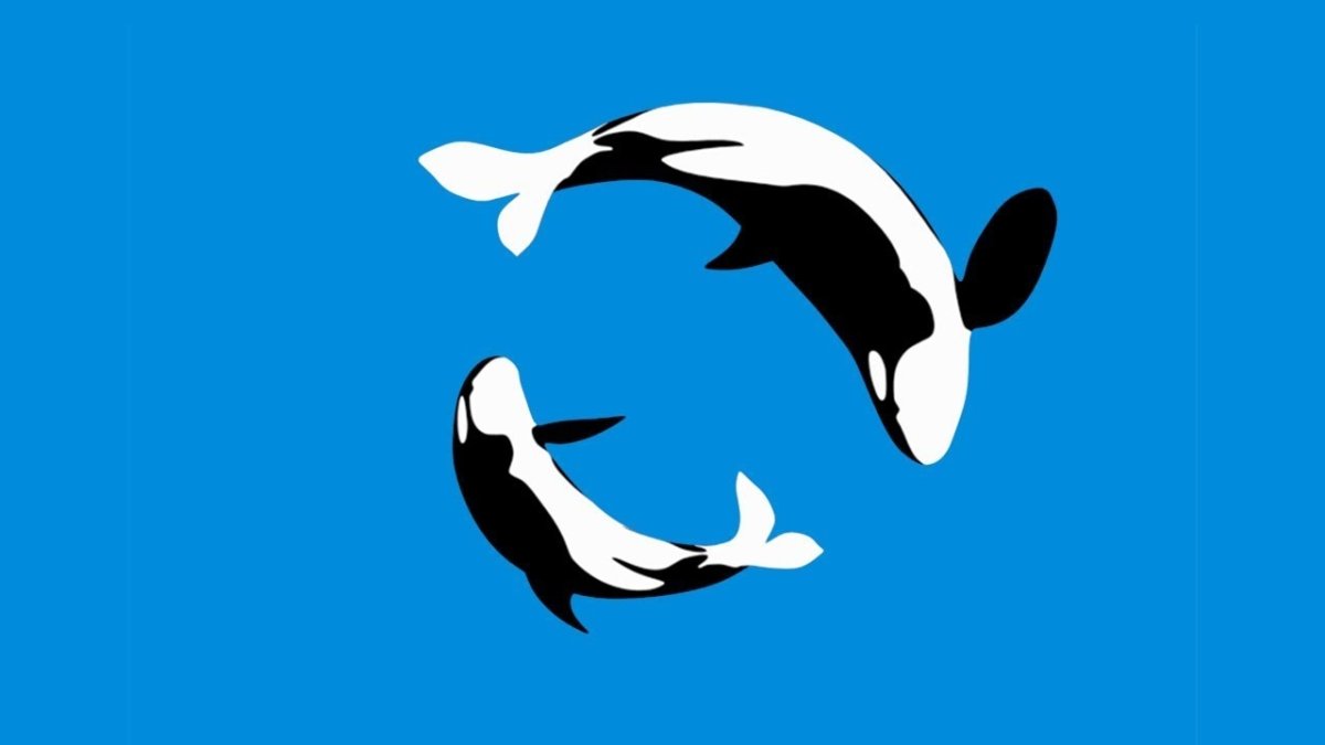 Касатки нападают на китов