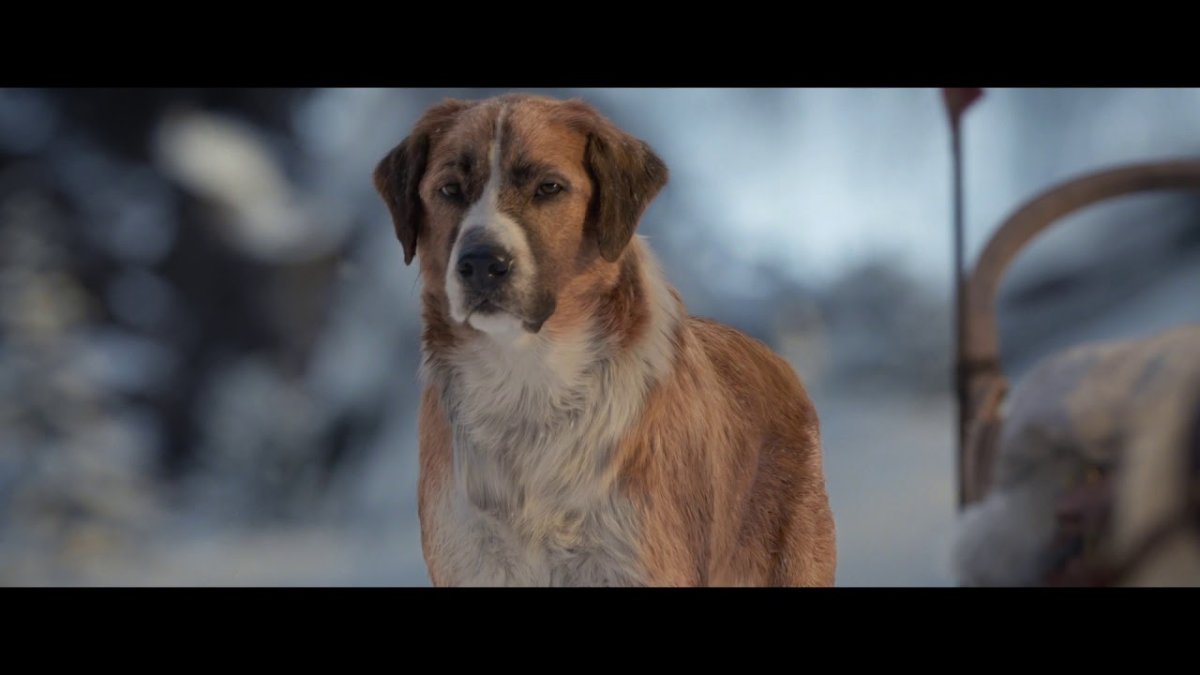 Зов предков пес бэк