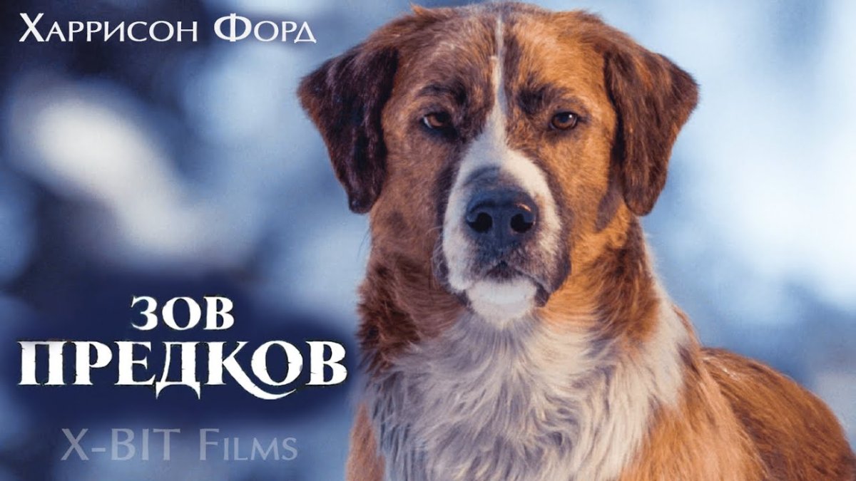 Омар си Зов предков