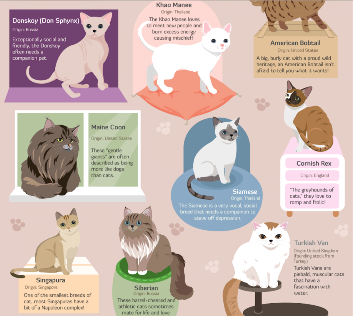 Инфографика животные