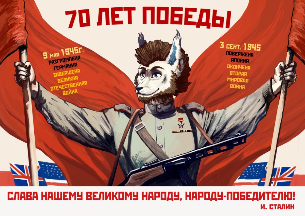 Собака в шапке ушанке