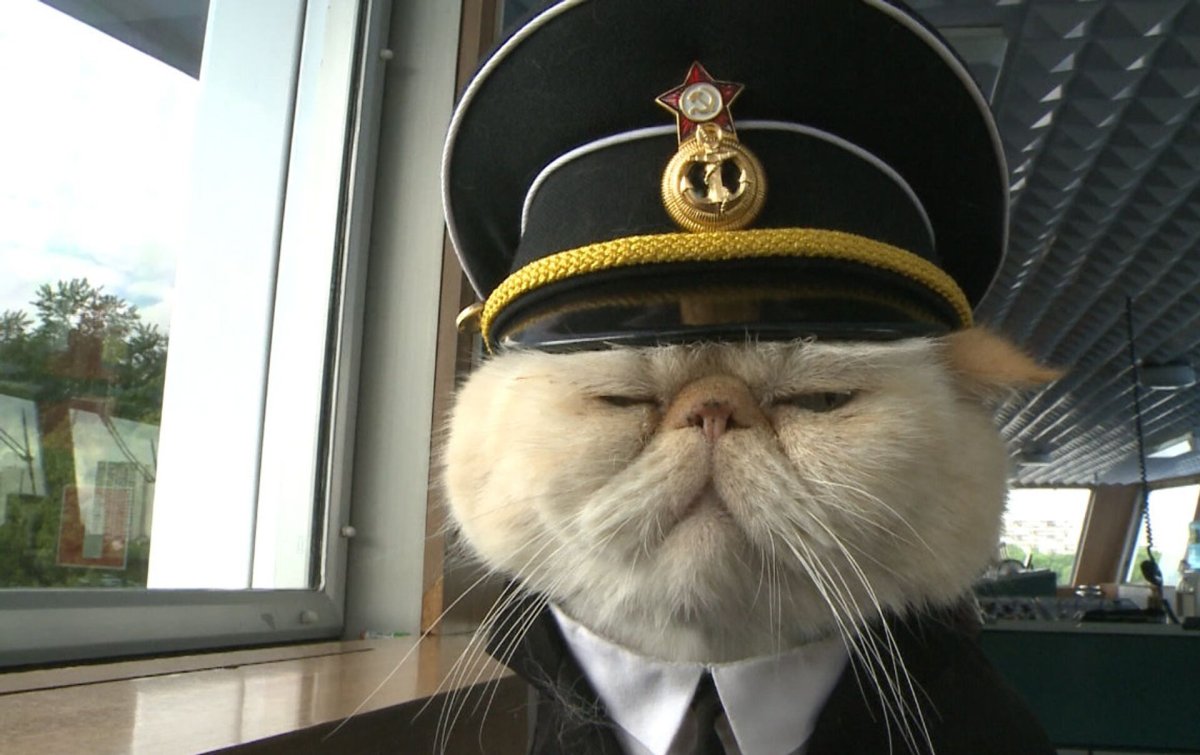 Собака СССР на аву