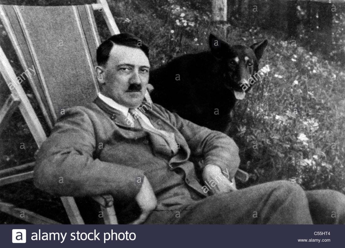 Кот в костюме