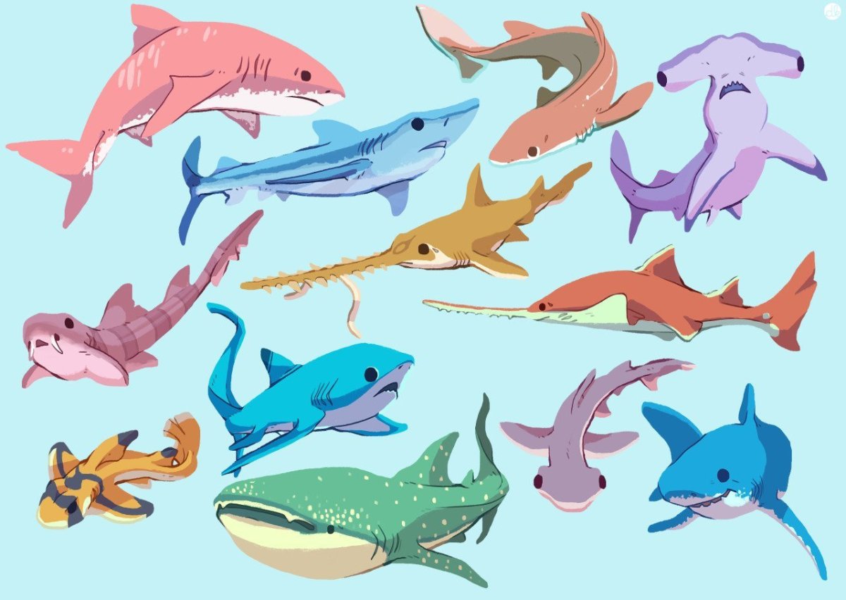 Разноцветные акулы