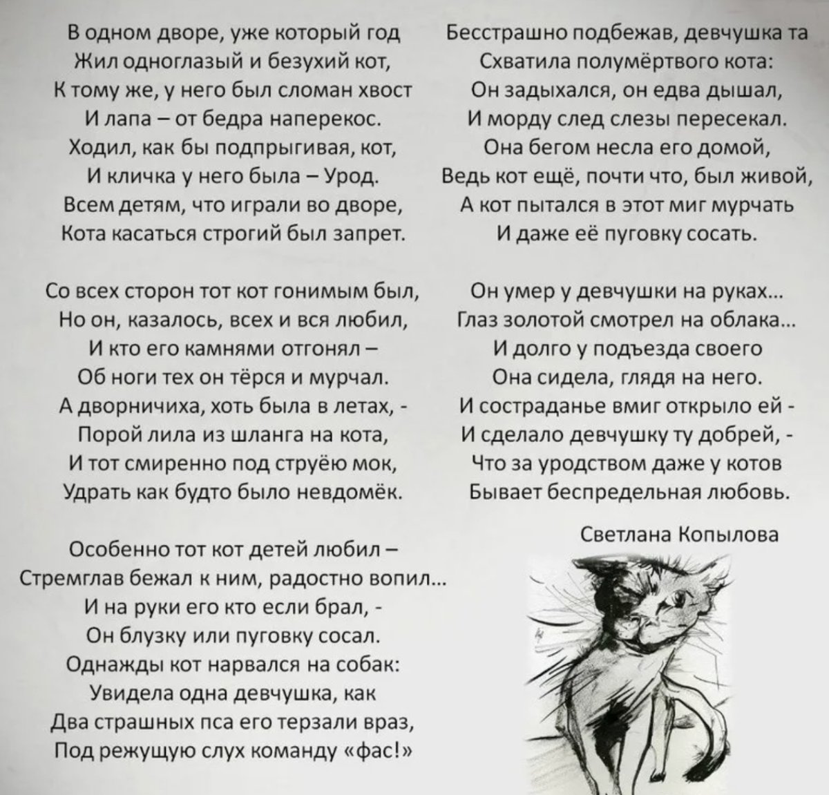 Страшные кошки с большими ушами