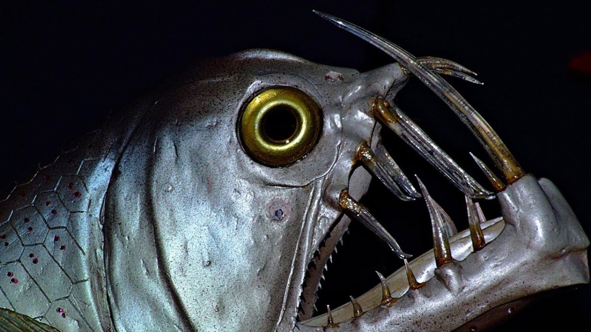 Длиннорогий Саблезуб