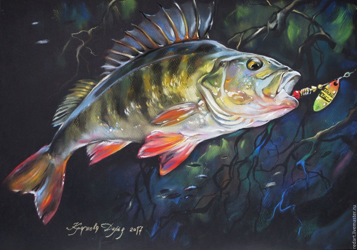 Марк Сузино подводный мир