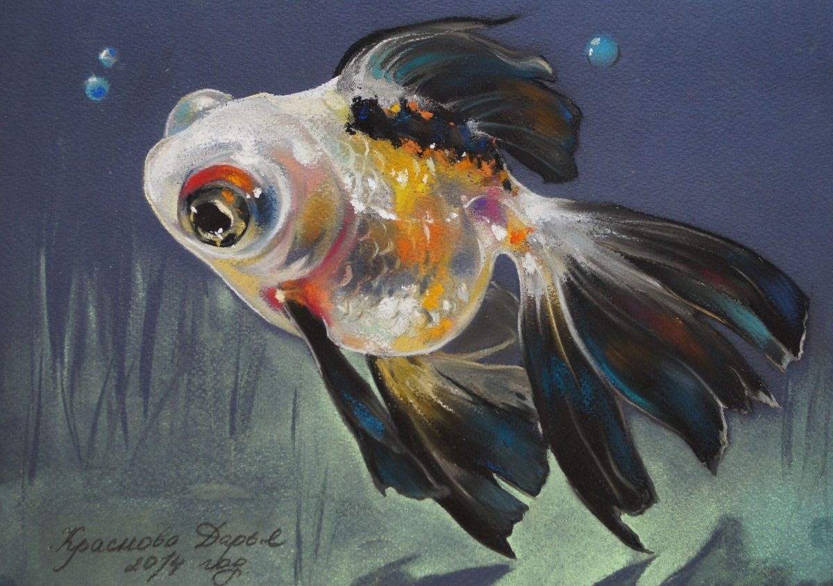 Голожаберные моллюски белого моря