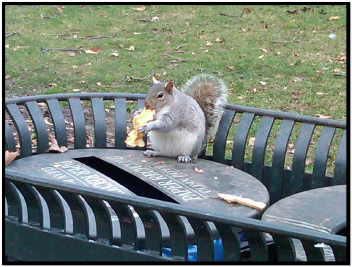 Прикольные рисунки целовашки