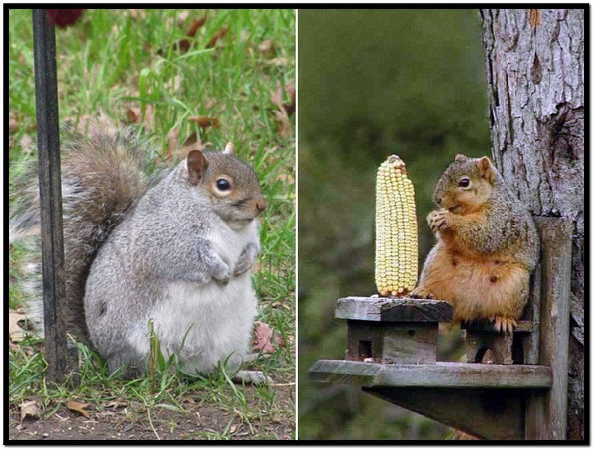 Демотиваторы для поднятия настроения