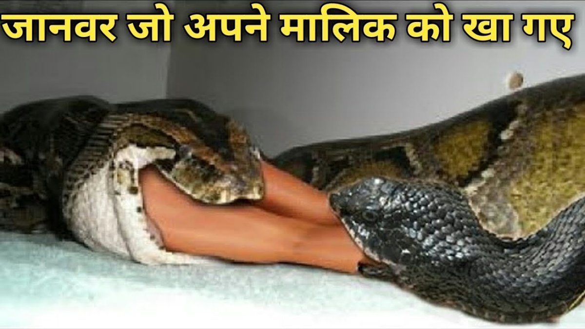 XCOM змеелюди