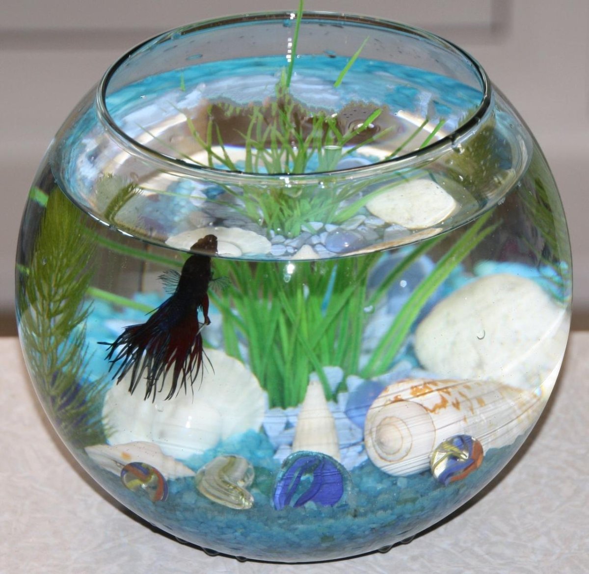 Аквариум Tetra Cascade