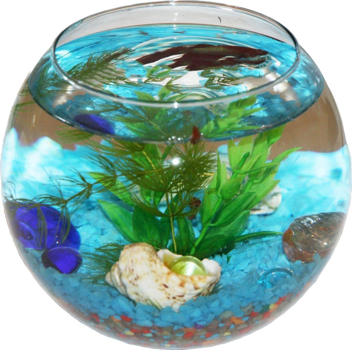 Круглый аквариум в детской комнате