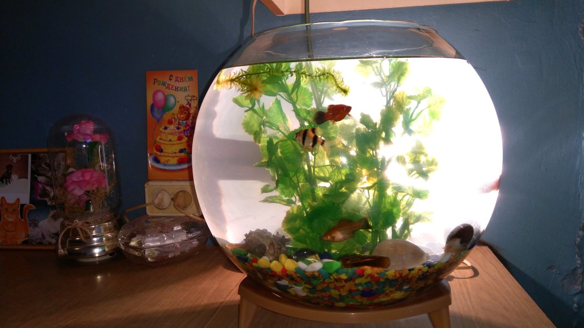 Аквариум бокал 2л