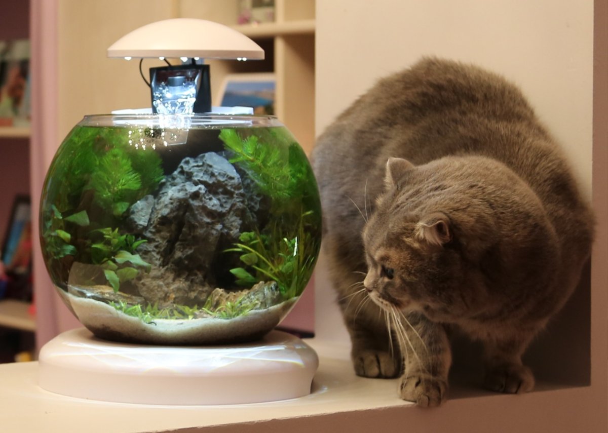 Аквариум бокал акваскейп