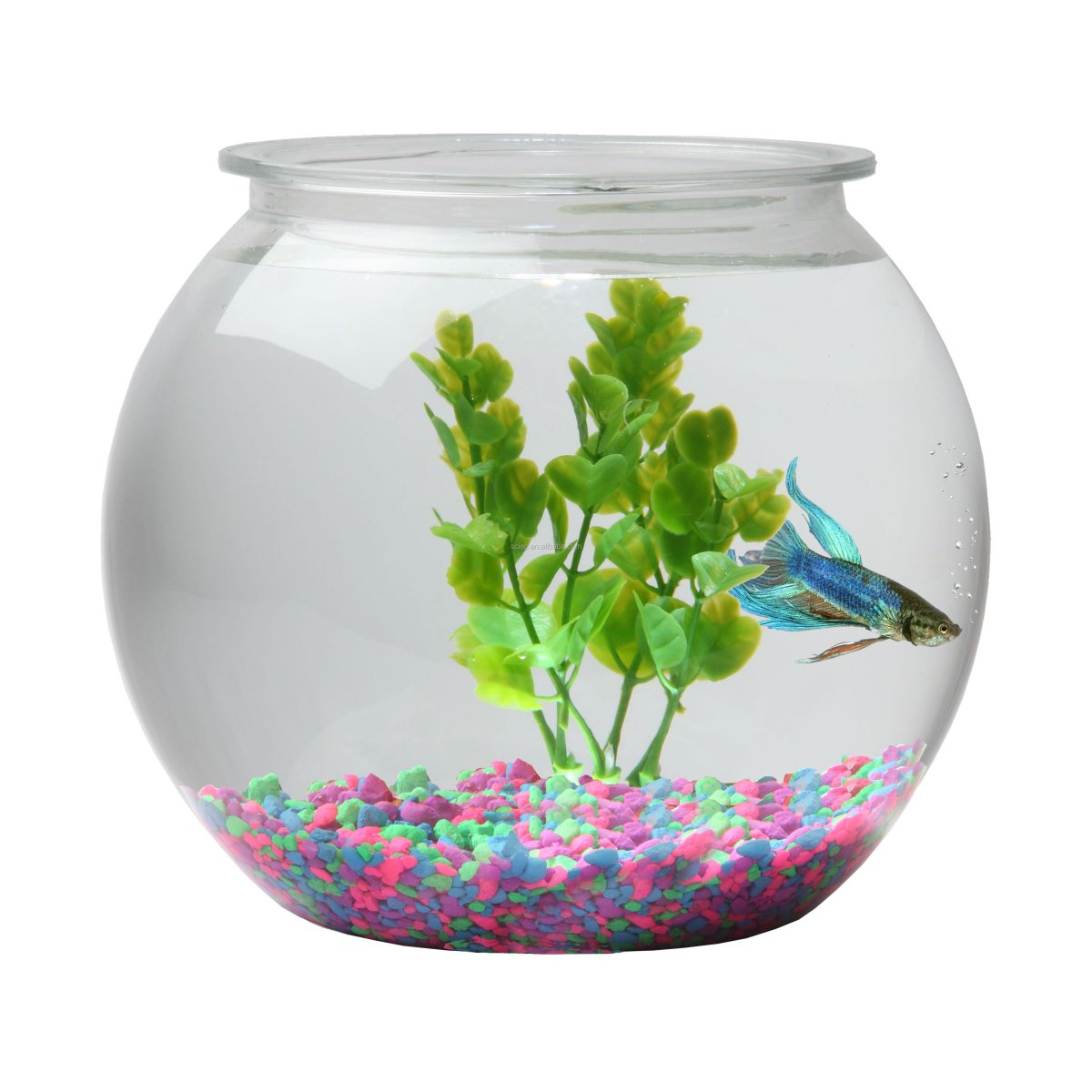 Золотые рыбки Ивана Грозного в стеклянных шарах