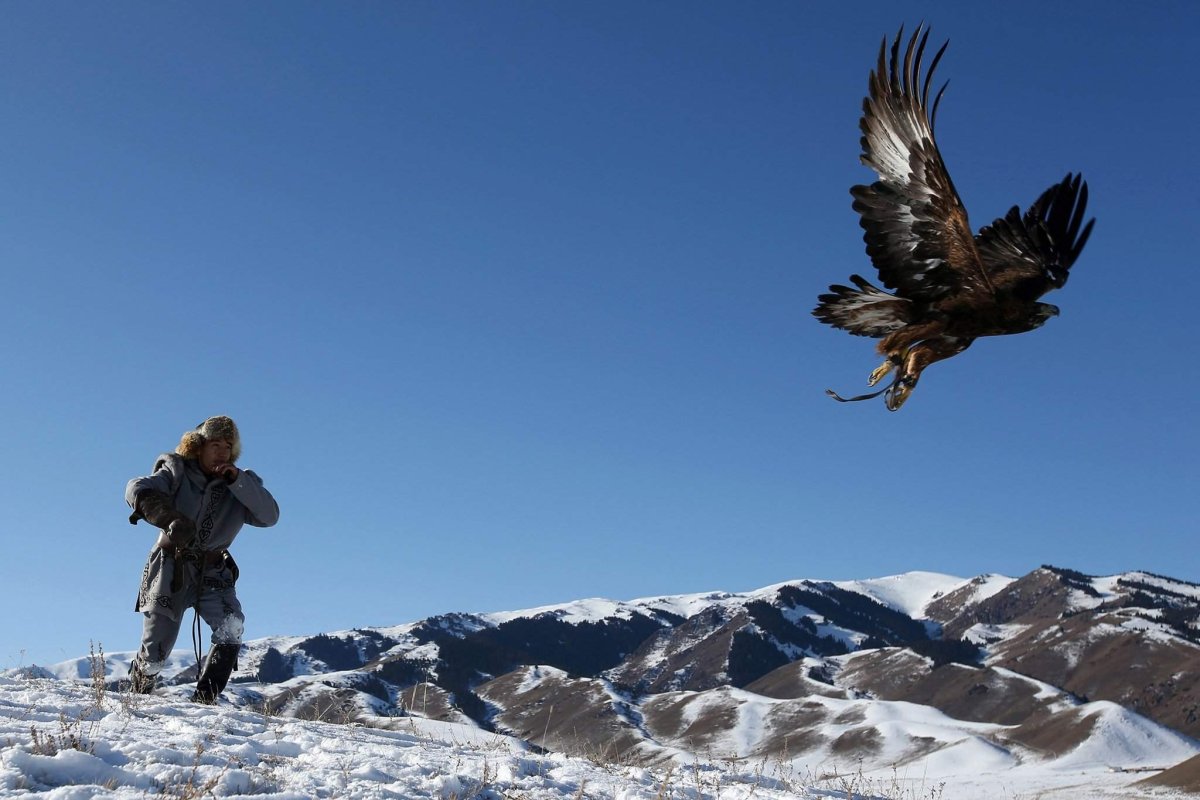 Охота с Беркутом в Казахстане