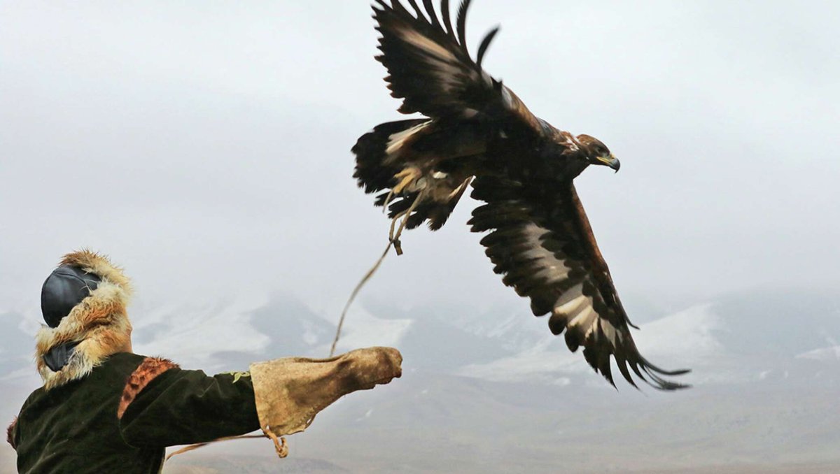 Буркут казах