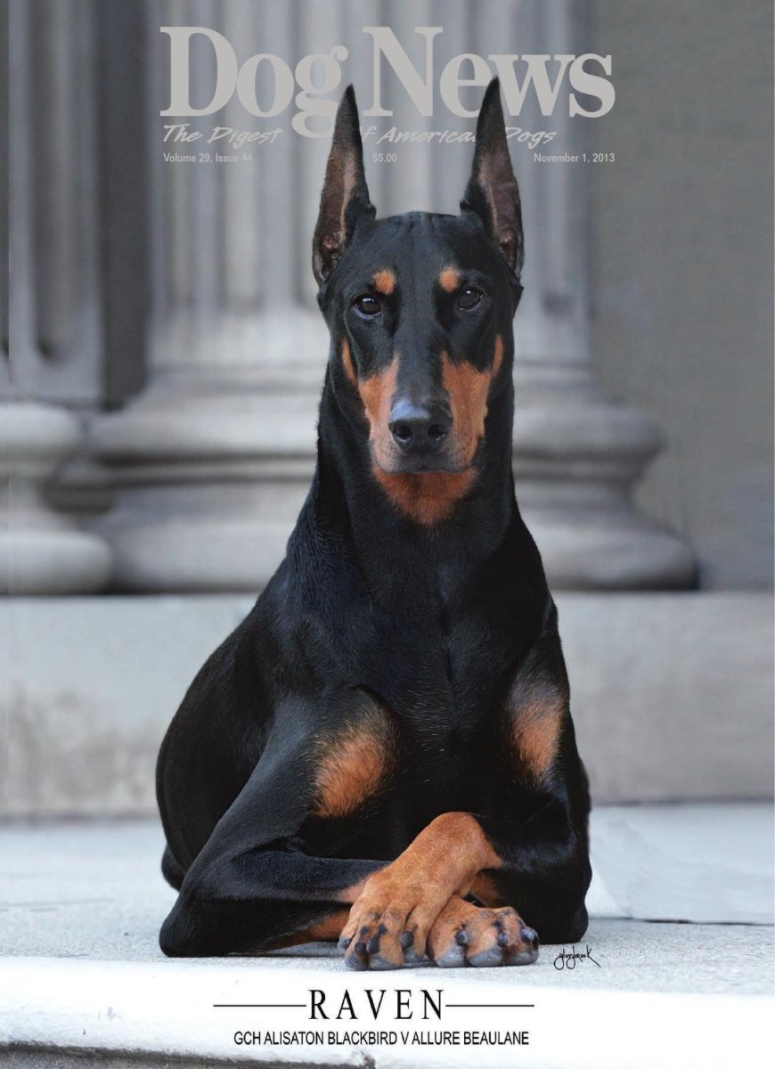 Шапка для добермана с ушами